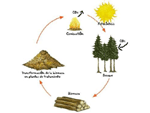 Caldera policombustible - Casas modulares a medida